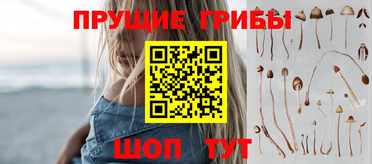 Псилоцибиновые грибы Psilocybe Пыть-Ях